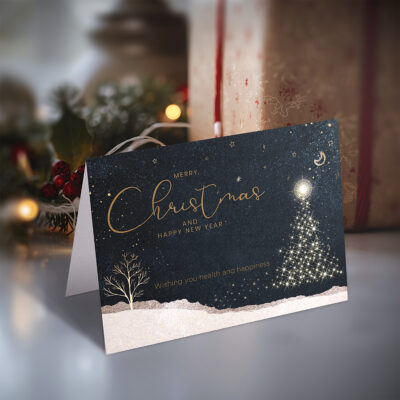 (A1) CHRISTMAS CARD (SNOW) Pack of 10 1 Design